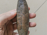 魷魚海參脫皮去皮—酶制劑解決方案 魷魚海參脫皮去皮—酶制劑解決方案